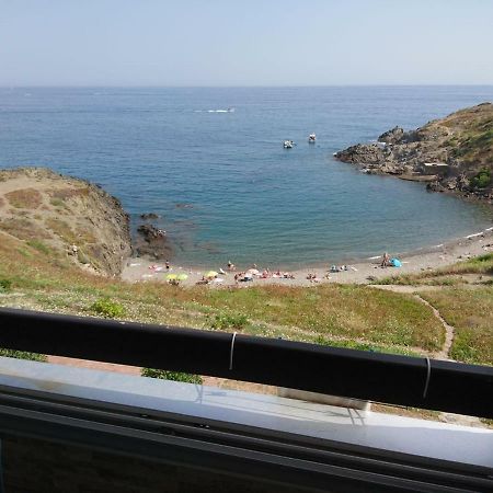 شقة Portvendres Sea View بورت-فوندر المظهر الخارجي الصورة