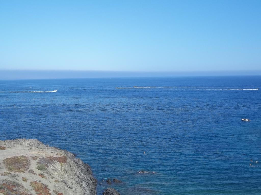 شقة Portvendres Sea View بورت-فوندر المظهر الخارجي الصورة